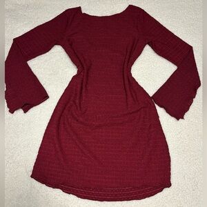 Wild Fable Women Burgundy Long Sleeve Mini Dress